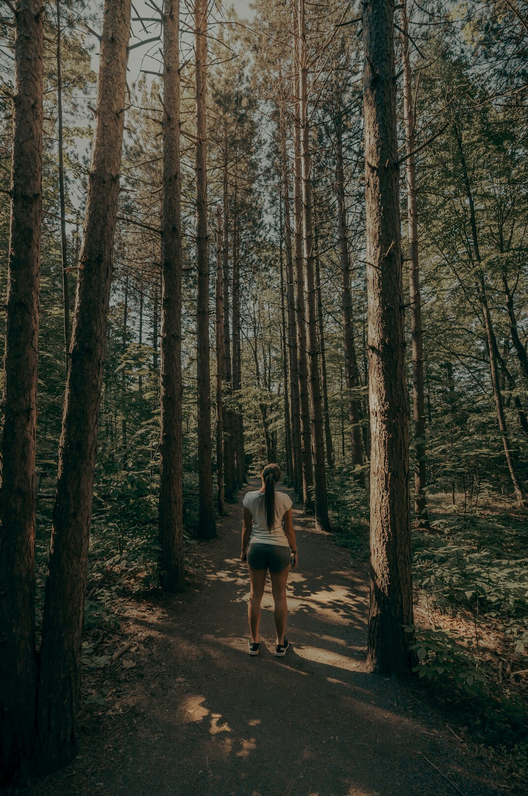 healthy person walking in forest